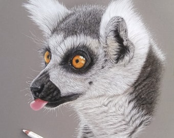 Lemure, dipinti originali a pastello, ritratto di lemure, arte della fauna selvatica, regalo
