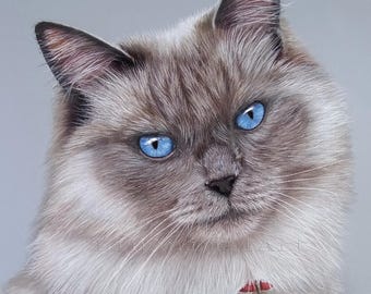 Ritratto personalizzato di un animale domestico: ritratto di gatto pastello disegnato a mano da una foto