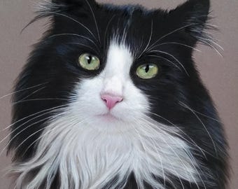 Custom Portrait - Personalized Cat Portrait, Pet Lover, Gift
