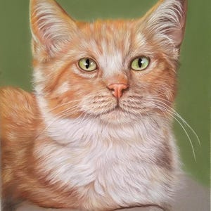 May include: A detailed portrait of a ginger cat with green eyes, set against a soft green background. The cat's fur is a mix of orange and white, with visible whiskers. A drawing pencil with a silver and orange handle is in the foreground.