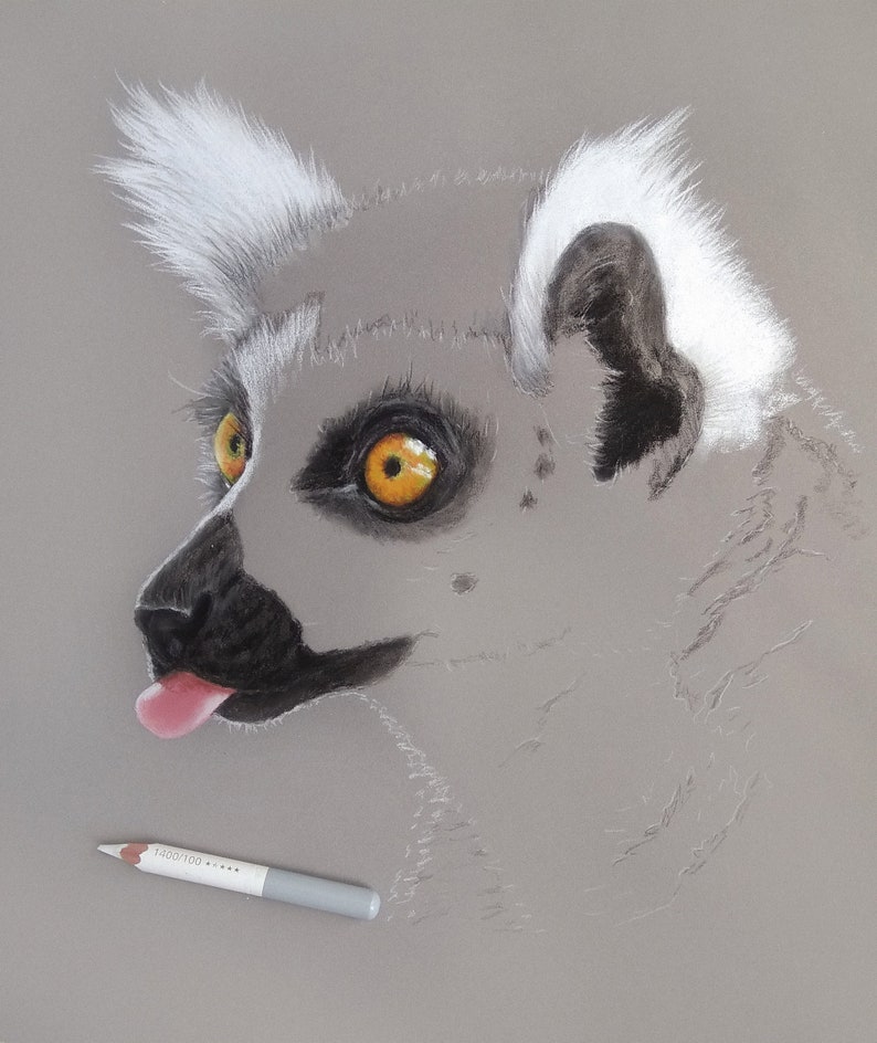 May include: A close-up of a lemur's face with white fur around its ears and a black nose. The lemur has bright orange eyes and its tongue is sticking out.