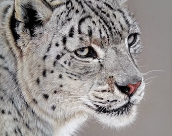 Leopardo de las nieves, El leopardo de las nieves, Pinturas originales en colores pastel, Retrato de leopardo de las nieves, Arte de vida silvestre, Regalo