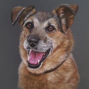 Custom Pet Portrait from photo -Gift - Personalised Pet Portrait - Dog portrait- Wall art - Custom wall art - Pet lover gift