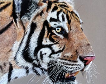Tigre, Dipinti a pastello originali, Ritratto di tigre, Arte della fauna selvatica, Regalo