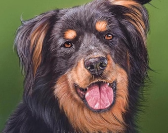 Custom Hand-Drawn Pet Portrait: Personalized Wall Art, Pastel drawing, Pencil Art