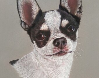 Disegno personalizzato di un animale domestico: ritratto di un cane a pastello, amante degli animali, regalo