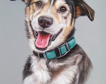 Ritratto personalizzato di un animale domestico: disegno a mano di un cane con colori pastello