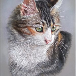 Pu&ograve; includere: Un dettagliato disegno a pastello di un gatto calico a pelo lungo con occhi verdi, baffi bianchi e un mix di pelo nero, marrone e arancione. L'opera presenta il testo www.linanimalart.weebly.com in basso su uno sfondo grigio neutro.