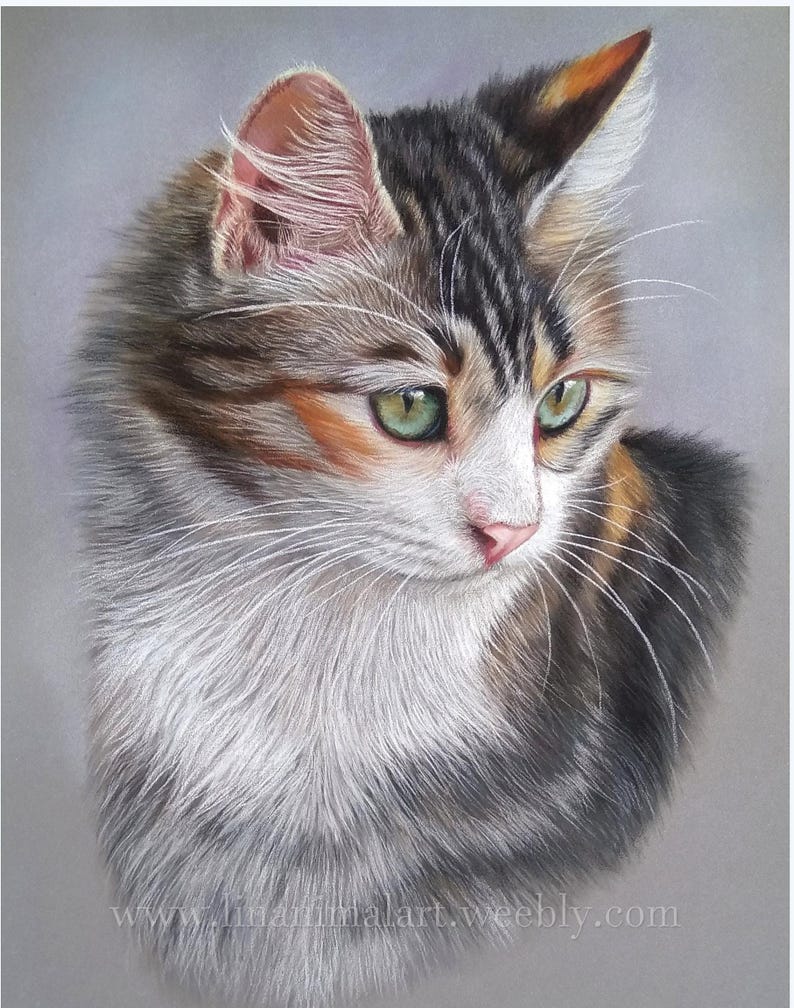 Pu&ograve; includere: Un dettagliato disegno a pastello di un gatto calico a pelo lungo con occhi verdi, baffi bianchi e un mix di pelo nero, marrone e arancione. L'opera presenta il testo www.linanimalart.weebly.com in basso su uno sfondo grigio neutro.