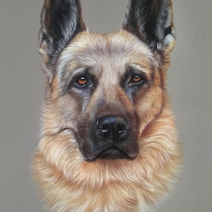 Retrato de mascota personalizado a partir de una foto - Regalo - Retrato de mascota personalizado - Retrato de perro - Arte de pared - Arte de pared personalizado - Regalo para amantes de las mascotas