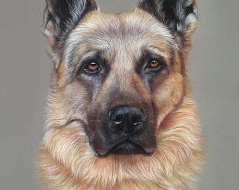 Ritratto personalizzato di un animale domestico da una foto – Arte pastello disegnata a mano