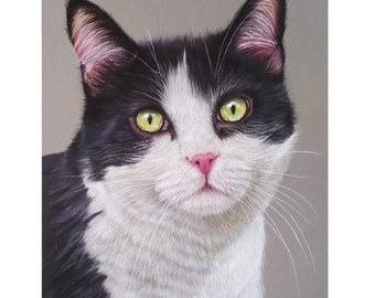 Ritratto personalizzato di un animale domestico: arte di un gatto pastello disegnata a mano