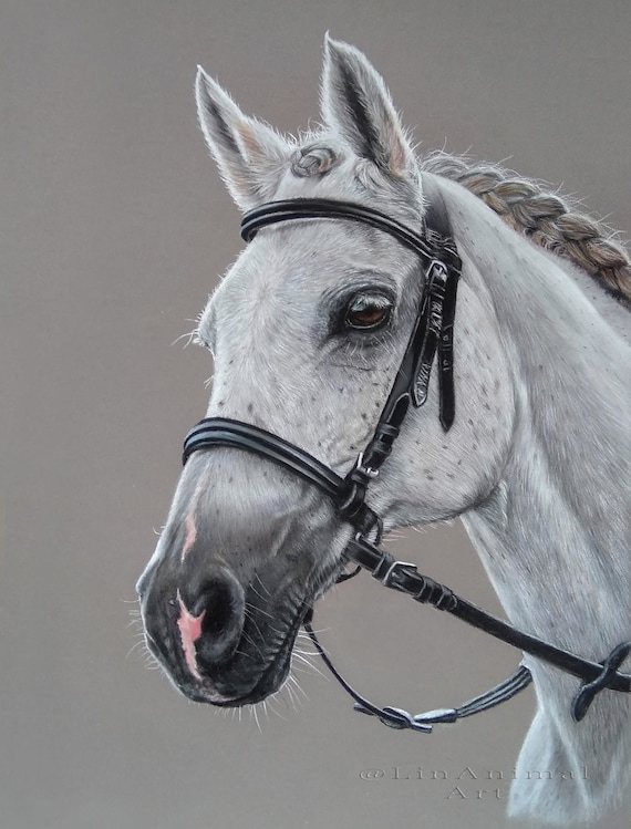 Custom Horse Portrait: Handmade Equestrian Drawing from Photo