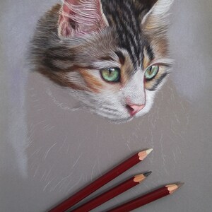 Ritratto personalizzato di un animale domestico: arte di un gatto pastello disegnata a mano immagine 4
