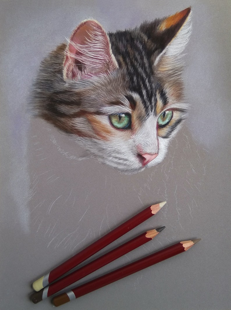 Ritratto personalizzato di un animale domestico: arte di un gatto pastello disegnata a mano immagine 4