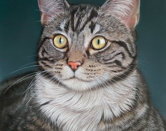 Ritratto personalizzato di un animale domestico: ritratto di gatto pastello disegnato a mano da una foto