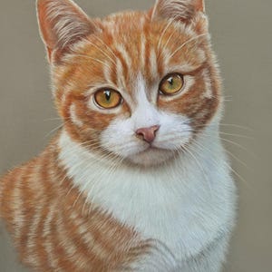 Puede incluir: Un retrato de cerca de un gato jengibre y blanco con ojos amarillos. El gato est&aacute; mirando directamente al espectador con una expresi&oacute;n seria. El pelaje del gato es suave y esponjoso, y el fondo es de un marr&oacute;n apagado.