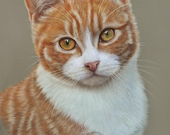 Custom Animal Portrait from photo -Gift - Personalised Drawing - Wall art - Pet lover gift