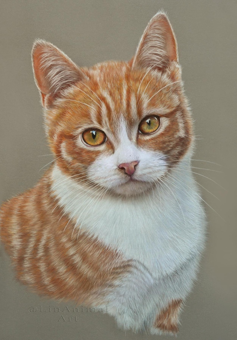 Puede incluir: Un retrato de cerca de un gato jengibre y blanco con ojos amarillos. El gato est&aacute; mirando directamente al espectador con una expresi&oacute;n seria. El pelaje del gato es suave y esponjoso, y el fondo es de un marr&oacute;n apagado.