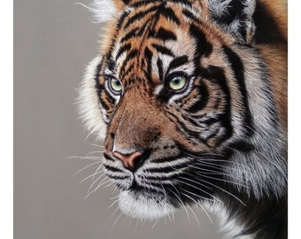 Peintures pastel originales, Portrait de tigre, Tigre, Art animalier, Cadeau