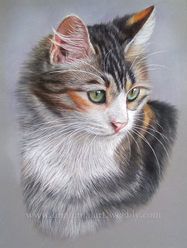 Pu&ograve; includere: Un dettagliato disegno a pastello di un gatto calico a pelo lungo con occhi verdi, pelo bianco sul petto e macchie di pelo nero, marrone e arancione. Il gatto guarda verso destra. Il testo www.linanimalart.weebly.com &egrave; stampato in basso.