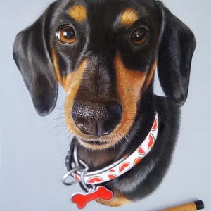 Custom Pet Portrait from photo -Gift - Personalised Pet Portrait - Dog portrait- Wall art - Custom wall art - Pet lover gift