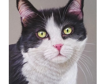 Custom Pet Portrait: Hand-Drawn Pastel Cat Art