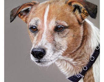 Ritratto personalizzato di un animale domestico - Arte del cane disegnata a mano con colori pastello