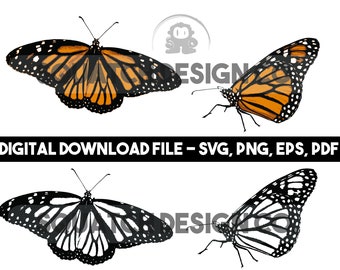 Monarch Butterflies DIGITAL DOWNLOAD Svg, Png, Jpg, Eps FILE
