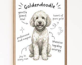 Stampa con le statistiche della razza Goldendoodle, divertente decorazione murale per amanti dei cani, poster con scarabocchio ad acquerello blu da scaricare