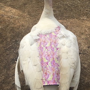 May include: A white turkey with a pink, yellow, and purple patterned fabric wrap on its back. The turkey is standing on dirt, with a red and white barn in the background.