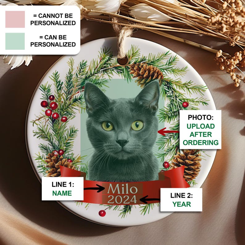 Personalized Pet Ornament - Custom Cat Christmas Ornament - Cat ...