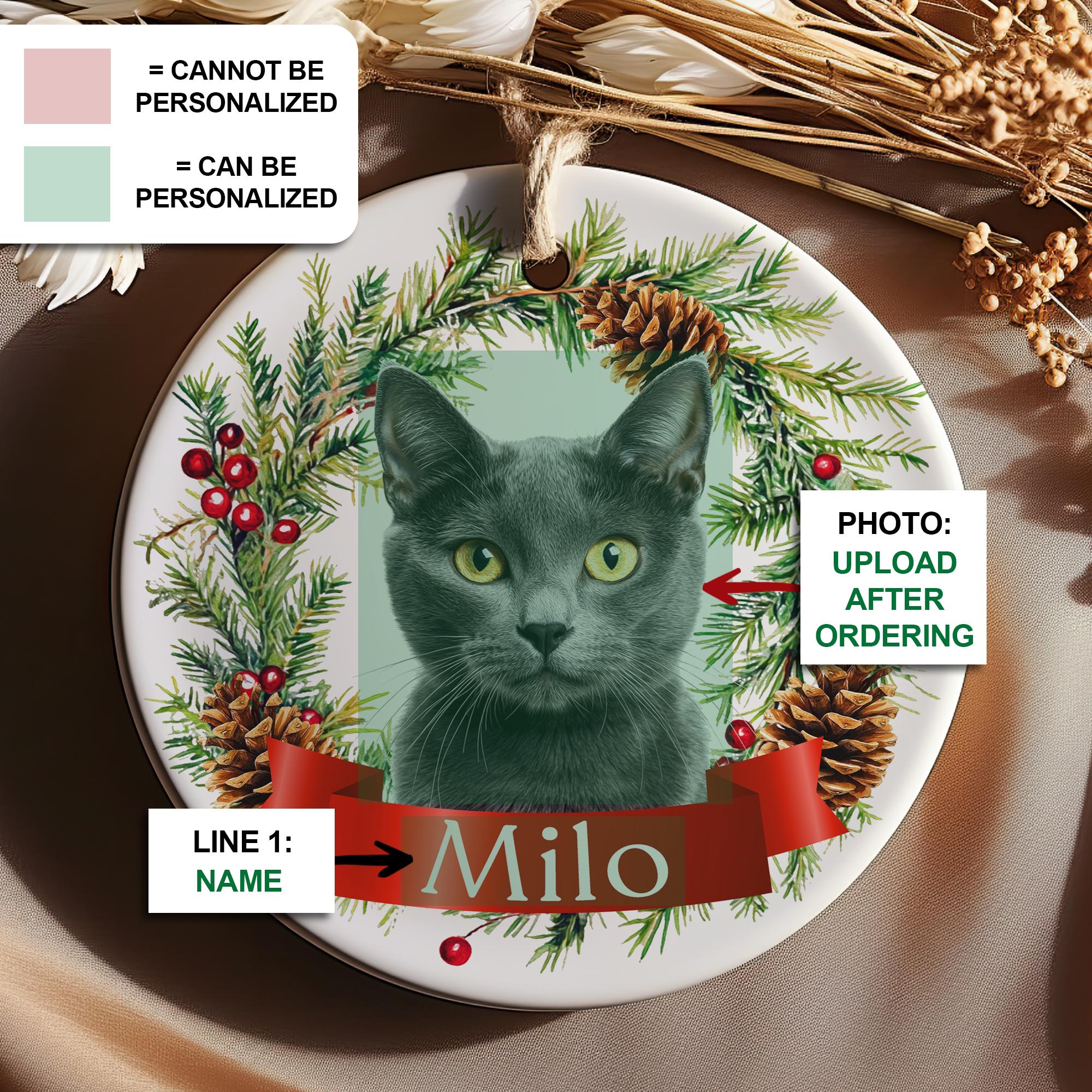 Personalized Pet Ornament - Custom Cat Christmas Ornament - Cat ...