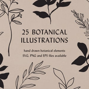 Botanical Illustrations | Botanical Fine Art | Botanical PNG Sketches | Leaf Illustration Sketches | Hand Drawn Botanical Illustrations