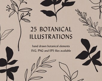 Botanical Line Art: Leaf & Wildflower Illustrations (SVG, PNG, EPS)