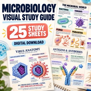 May include: A microbiology visual study guide featuring 25 digital download study sheets. The pages display colorful, labeled diagrams of prokaryotic cell anatomy, virus structures, antigens, antibodies, and how antibiotics work.