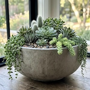 Fiberglass plant pots/eye-catching decorative pots