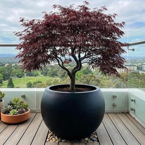 Fiberglass plant pots/decorative pots/gifts for plant lovers
