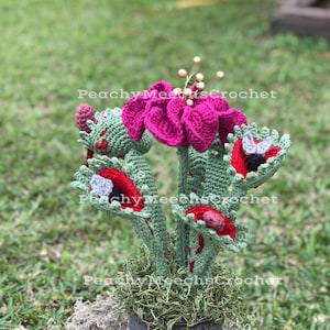 PATTERN. Venus Fly Trap Crochet Pattern. Crochet Carnivorous Plant. Crochet Hibiscus Flower. Crochet Plant Pattern. Crochet horror.