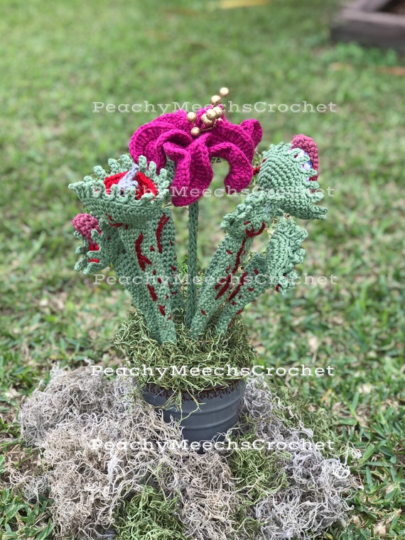 PATTERN. Venus Fly Trap Crochet Pattern. Crochet Carnivorous Plant