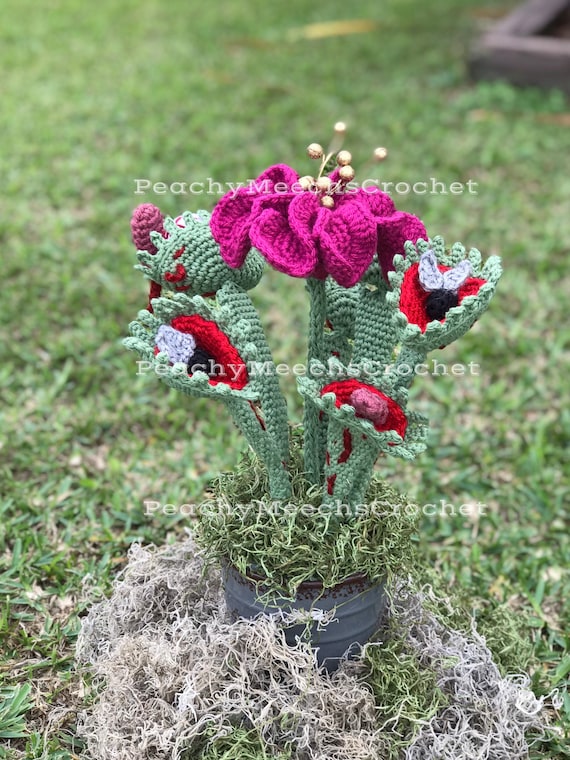 PATTERN. Venus Fly Trap Crochet Pattern. Crochet Carnivorous Plant. Crochet Hibiscus Flower. Crochet Plant Pattern. Crochet horror.
