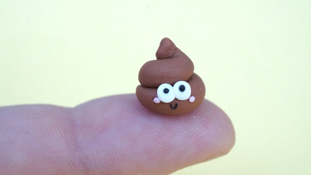 Cute Micro Poop Small Collectible Figurine Terrarium - Etsy