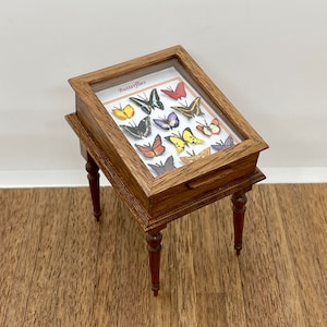 Miniature handmade butterfly display cabinet, 1/12 scale