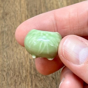 May include: A small, light green ceramic pot with a rounded shape and three tiny feet. The pot has a textured surface with subtle vertical lines. The overall design is simple and elegant, suitable for miniature plants or decorative use.