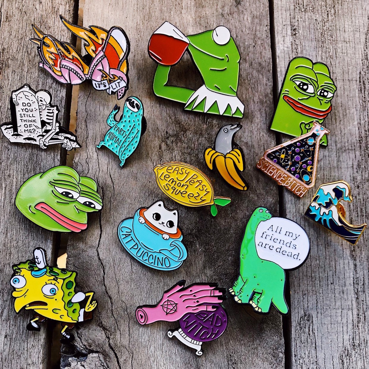 Enamel Pins Cute Pins Funny Pins Boho Pins Animal Etsy