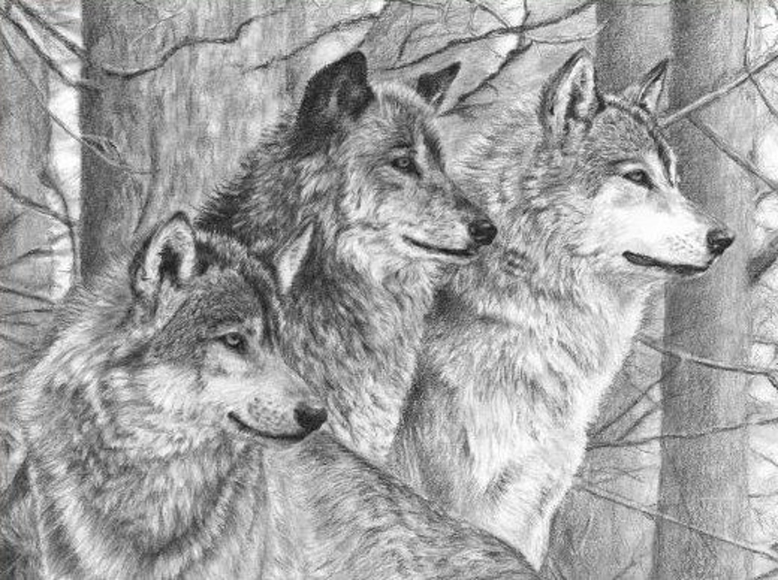 Wolves in the Forest original hand drawn artwork Etsy