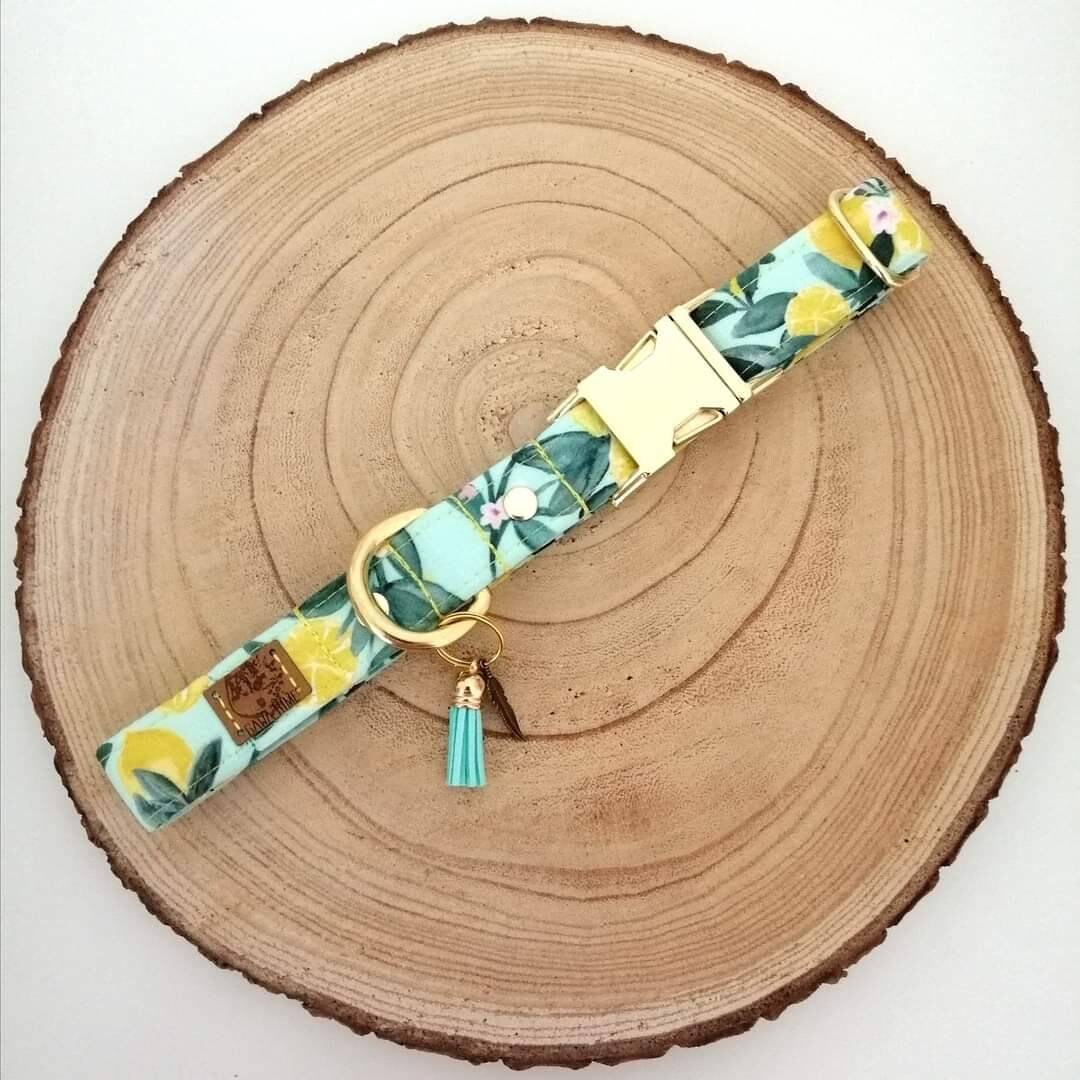 Collier Chien Limoncello Citron - Dog Collar Collar For Dog