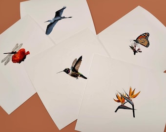 Mini Nature Art Print, Hummingbird, Egret, Butterfly, Dragonfly (4x4)