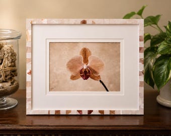 Framed Orchid Wall Art, Hand Embellished Botanical Decor, Coastal Calm Spaces