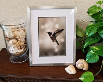 Framed Hummingbird Wall Art - Nature Print - Neutral Coastal Decor - Hand Finished 8x10 frame